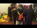 DILA TEER BIJA PERFORMANCE