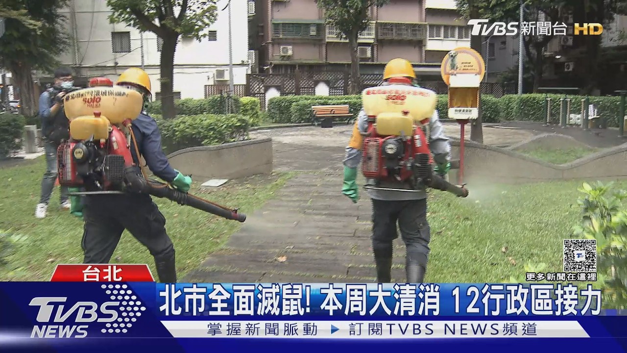 影音/北市推鼠類偵防師 環保局:周三說明展示