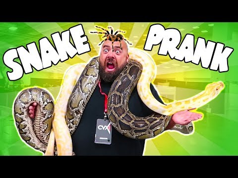 Best Giant Snake Joke on Dad!! 🐍