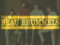 The Beau Brummels • Ain't That Loving You Baby (1965)