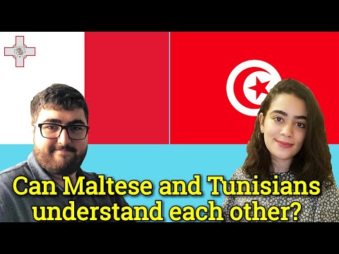 Similarities Between Maltese and Arabic (Tunisian Dialect)
