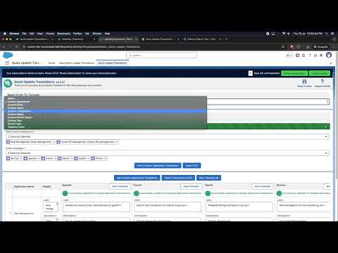 Quick Update Translations App Demo