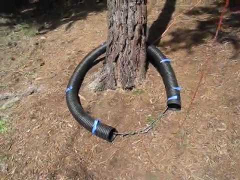 Hoisting a Climbing Rope Into A Tree With No Branches