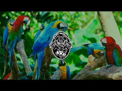 Azeu nen boenjel - NKV Just Gepast - 2013