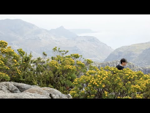 PHEO.  A documentary by Hannah Hansen & Abi Nielson Hunsaker