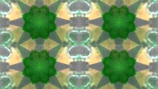 Appalatia (The Church) (Forget Yourself)