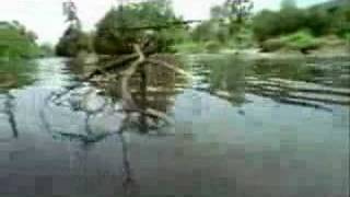 M.I.A. - Galang Ayana Tari Remix