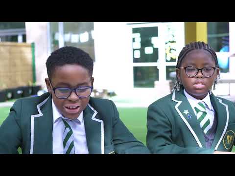 What pupils at Van Gough Primary School think of the book