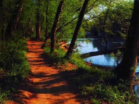 Tommyboy feat. Original Flow - Shine on the Path