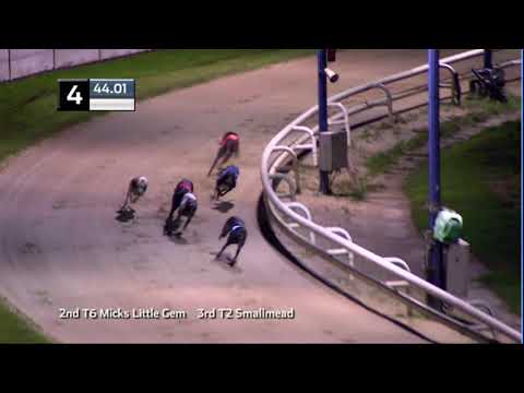 2020 RPGTV ST LEGER - HEAT 1 - T4 SALACRES PIPPY