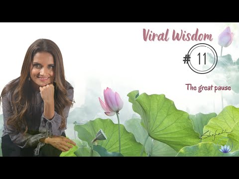 DAY 11 Viral Wisdom Course 04-20-2020: THE GREAT PAUSE