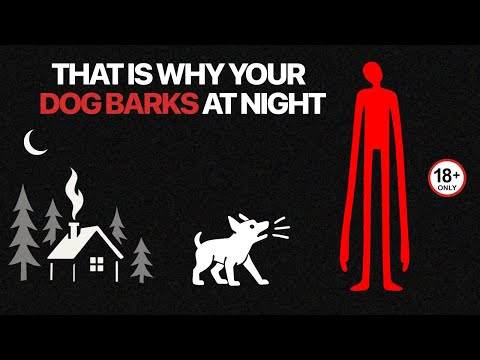 If Your Dog Starts Barking at Night… LOCK The Door - Analog Horror