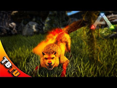 Ark: Survival Evolved Mutation Zoo E46 - FULLY MUTATED DIREWOLF BREEDING! DIREWOLF ZOO ENCLOSURE