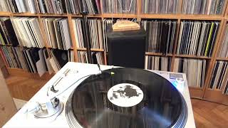 Trackdigger tracked 0244 B „In The Village Hogi Leonard’s Rework“ from the In The Village Ep