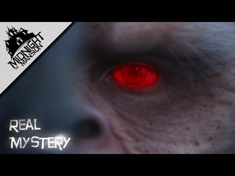 Afonya - The White Bigfoot (What happened in Russia in 1988?)