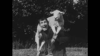 The Sheep Stealer (1908)