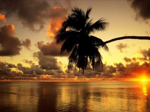 Cosy ft Mona -Doar eu si cu tine