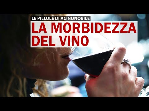 Cos'è la morbidezza di un vino?
