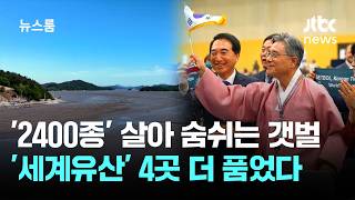 '2400종' 살아 숨 쉬는 한국 갯벌…'세계유산' 4곳 더 품었다 / JTBC 뉴스룸