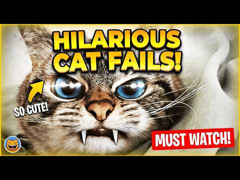 2024 NEW Most Viral Animal Videos😂Funny Cats And Dogs😺🐶