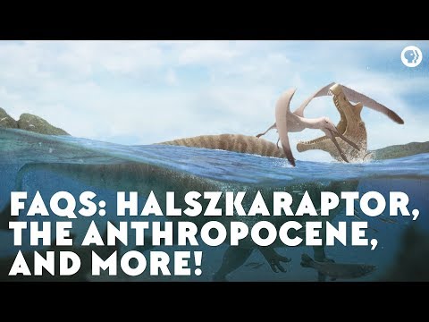 FAQs From Our First Year