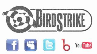 Birdstrike - Knock Knock