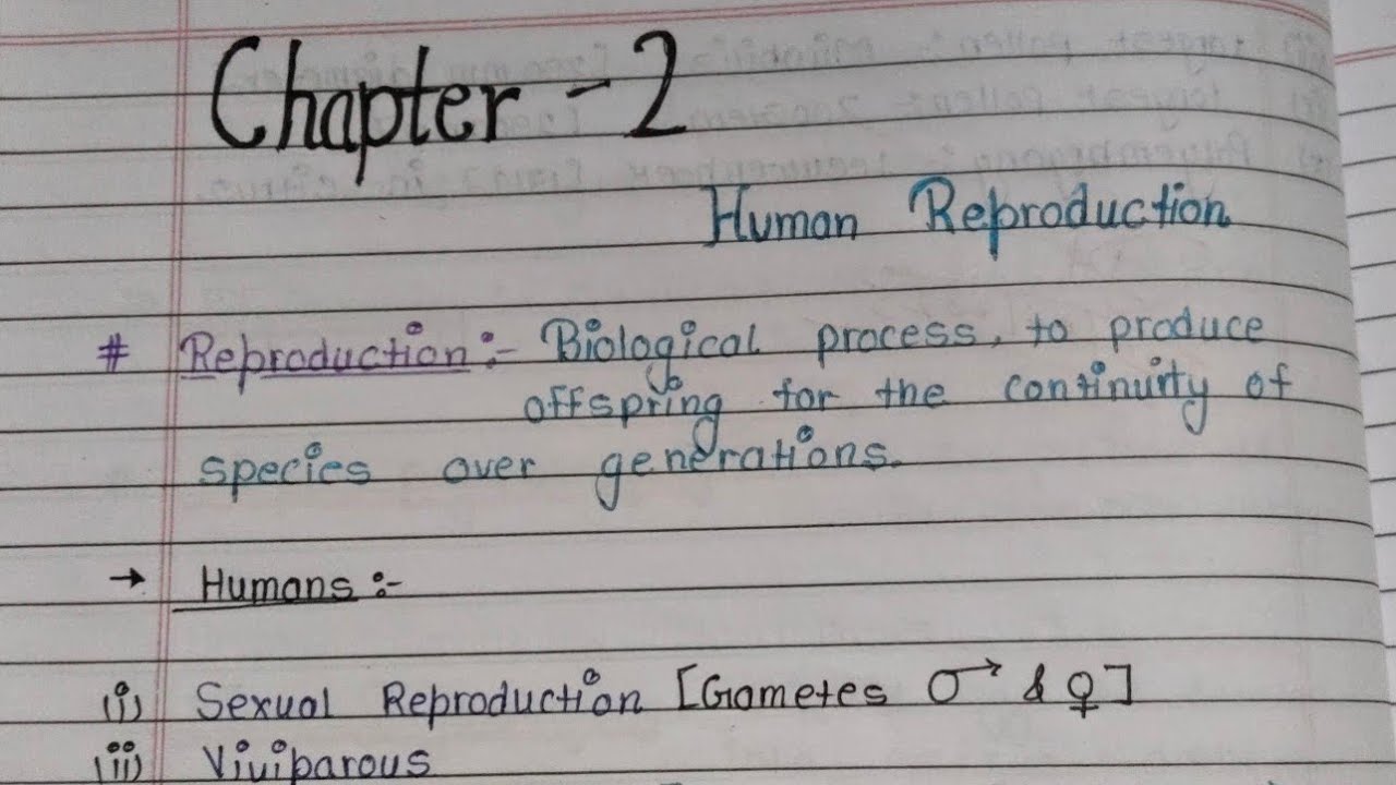 #biology//  class 12 //chapter 2// Human reproduction //the best handwritten notes by me ❣️❣️❣️