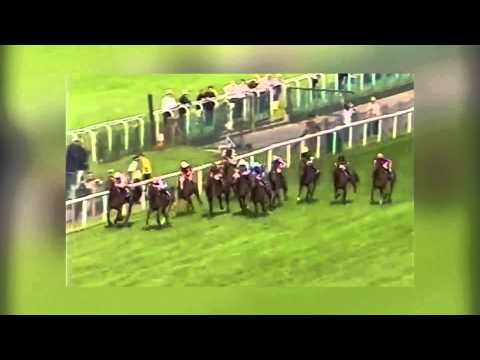 DIOGENES - Lion 2015 - Fils de Sophisticat, gagnante des Coronation Stakes (Gr.1)
