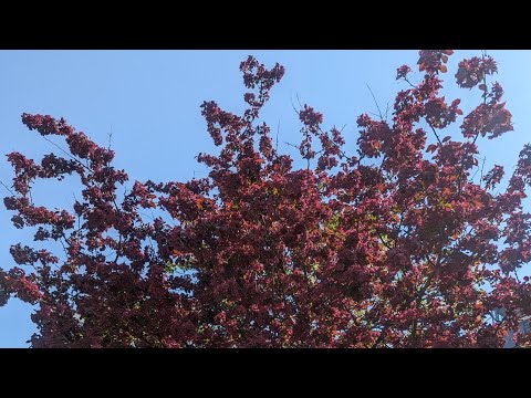 Summer colors in Helsinki ❤️