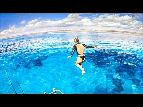 Amazing Weather & Tiger Sharks With Brinkley Davies NEW HOME Shed Cook Up - Ep 217