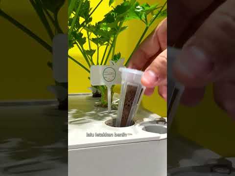 Gambar Soleil Pot Indoor Hydroponic Planter - Putih