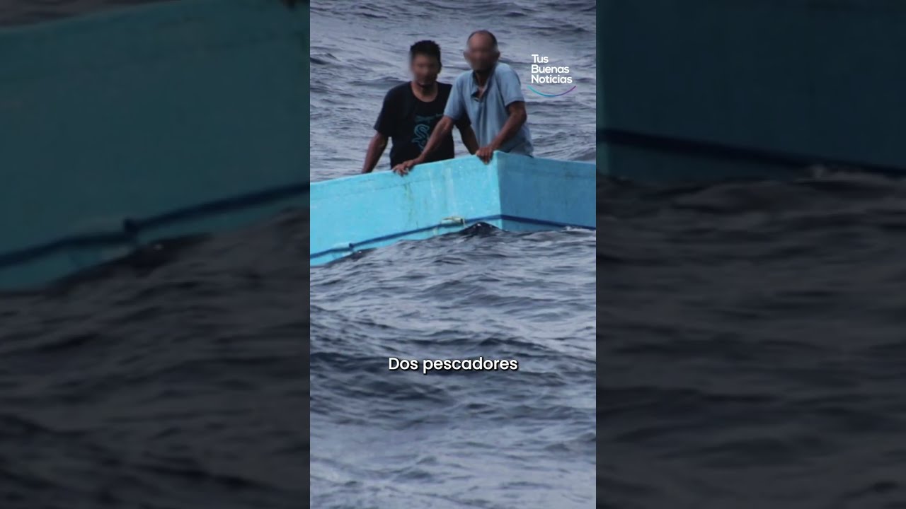 Flotaban sobre una hielera en altamar y fueron rescatados con vida