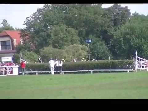 DOSTIHY--STEEPLECHASE CACOV 23 08 2015