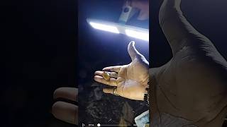 Download lagu Tarik Pusaka Pemberian Leluhur #shorts #alamliar #hutan #incredible mp3