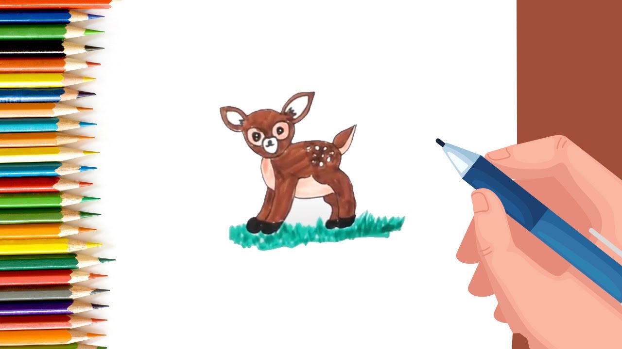 Draw a deer How to Draw a Cute Deer Step by Step Tutorial for Kids and Beginners