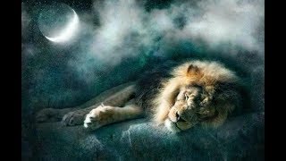 The Lion Sleeps Tonight - The Tokens (Extended Loop Version)
