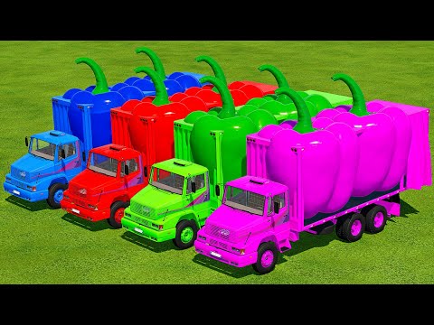 LOAD AND TRANSPORT GIANT PEPPERS WITH LIZARD TRUCKS - Farming Simulator 22