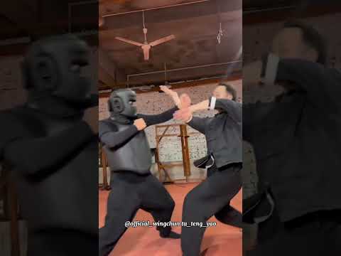 Essential Wing Chun Practice Wisdom Revealed Today - Master Tu Tengyao