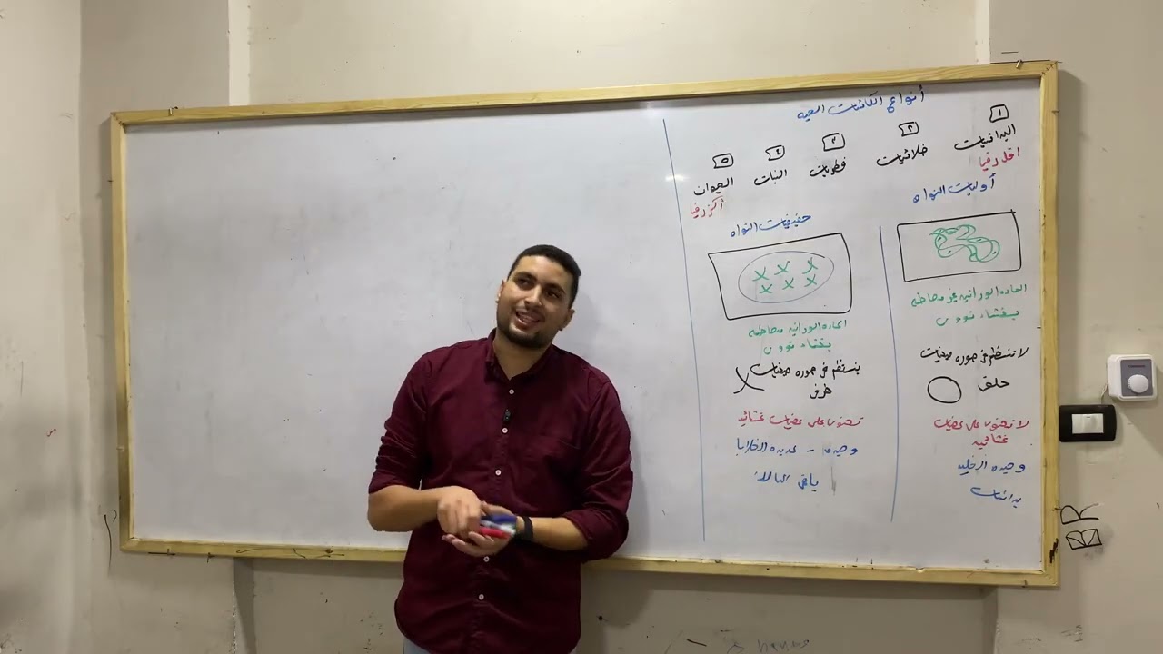 🧬 تأسيس التكاثر (الجزء الأول) | أنواع الكائنات الحية والمجموعات الصبغية (ن و 2