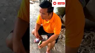 Chainese most funny video 😅#funnyshorts #funnycouple #chainesefunnyvideo #shortfeed