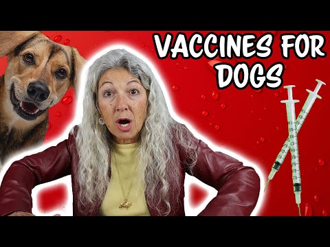 Dr Judy Discusses Vaccines