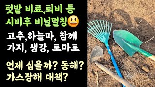 텃밭작물 심을 준비