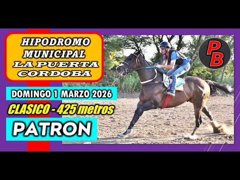 PATRON: HIPODROMO MUNICIPAL LA PUERTA - CORDOBA (01-03-2026)