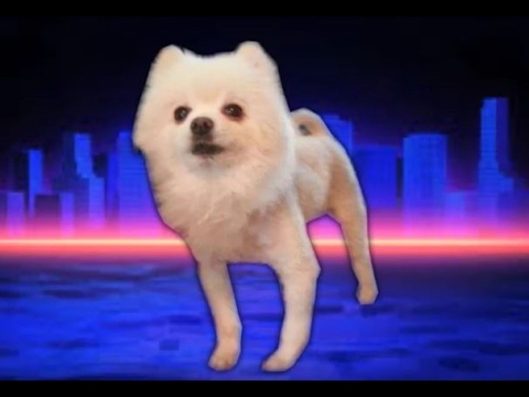 you reposted on the wrong shooting star