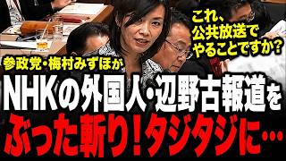 【受信料の闇】「これ、公共放送でやることですか？」参政党・梅村みずほがNHKの外国人・辺野古報道をぶった斬り…副会長はタジタジ【国会】