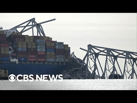 Maritime expert reacts to ship hitting Baltimore bridge, causing collapse