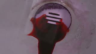 The Haunting of Wellsley Manor