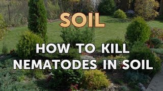 How to Kill Nematodes in Soil