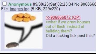 least fleshpilled 4chan user