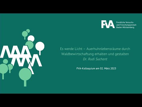 Es werde Licht – Auerhuhnlebensräume durch Waldbewirtschaftung erhalten und gestalten